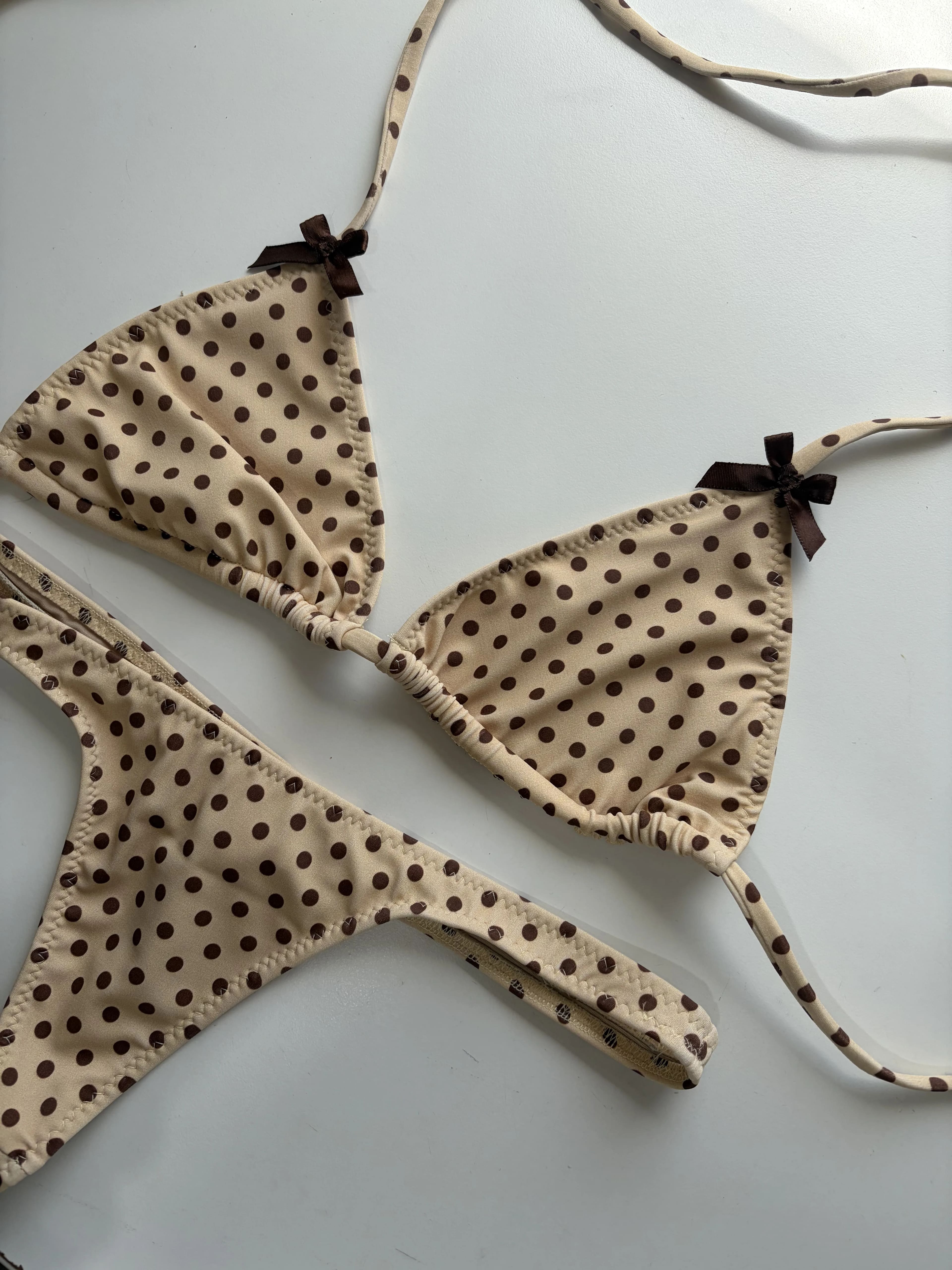 פפיון — תמונה 1 מתוך 1
